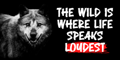 Sucker Brush Font Poster 12