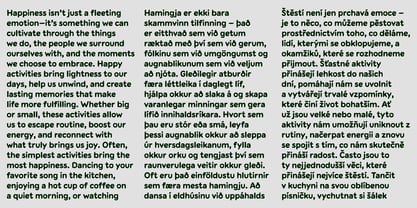 Kotik Font Poster 4