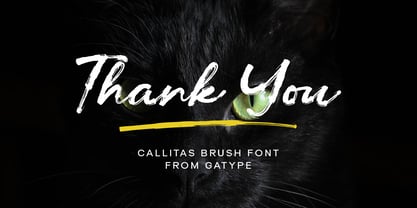 Callitas Font Poster 8