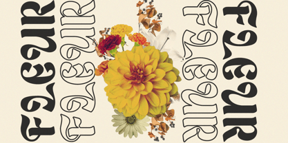 Lunarya Font Poster 2