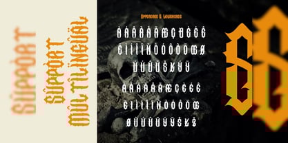 Elaxors Font Poster 4