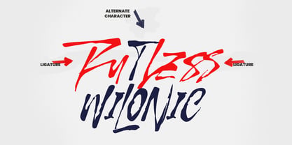MC Ruthless Wilonic Font Poster 5