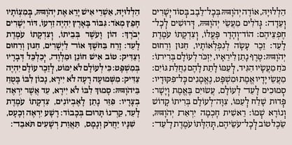 Hebrew Toledot Tanach Font Poster 2