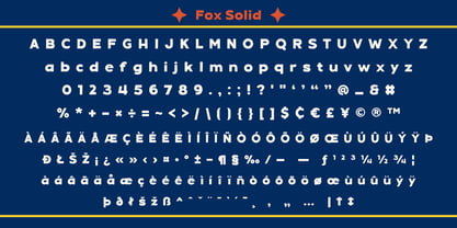 Fox Solid Font Poster 8