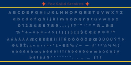 Fox Solid Font Poster 9