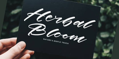 History Kindes Font Poster 11