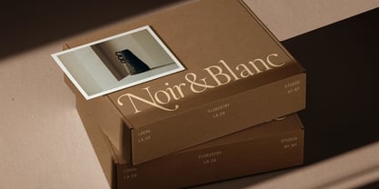 SLTF The Roman Edition Font Poster 13