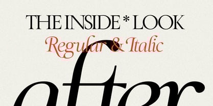 SLTF The Roman Edition Font Poster 8