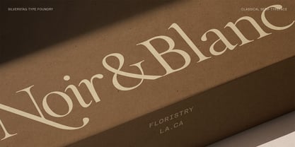 SLTF The Roman Edition Font Poster 2