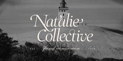 SLTF The Roman Edition Font Poster 15