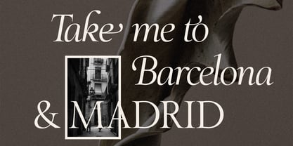 SLTF The Roman Edition Font Poster 4