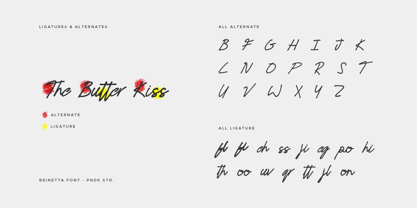 Bianetta Font Poster 5