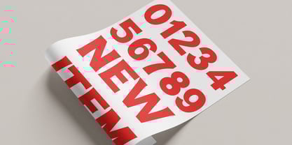 The Write Font Poster 9