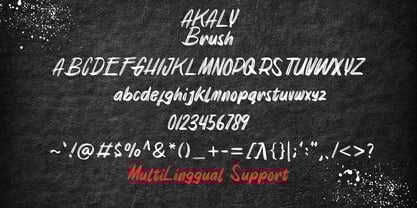 Akaly Brush Font Poster 8