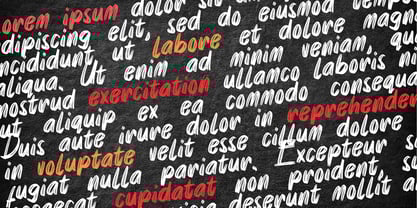 Akaly Brush Font Poster 2