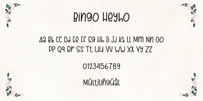 Bingo Heyho Mono Font Poster 9