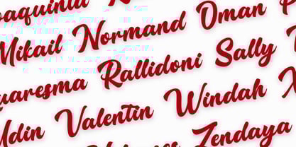 Rallidoni Font Poster 4