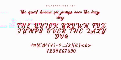 Rallidoni Font Poster 2