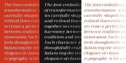 Milghera Serif Font Poster 11