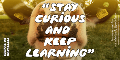 Gaufre de Bruxelles Font Poster 12