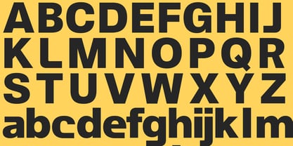 Jam Grotesque ALT Font Poster 4