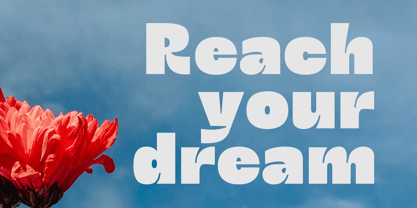 Marine Elmoure Font Poster 13