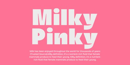 Marine Elmoure Font Poster 12