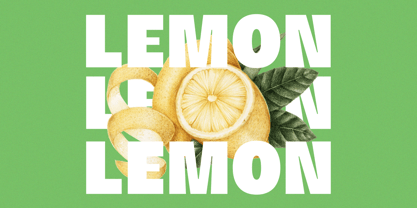 Marine Elmoure Font Poster 14