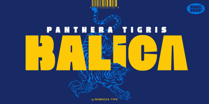 Rebel Rush Font Poster 5