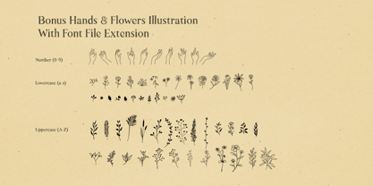 Natural Comforts Font Poster 7