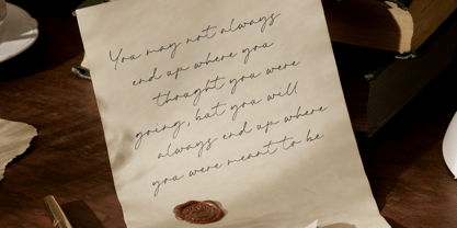 Bridget Signature Font Poster 3