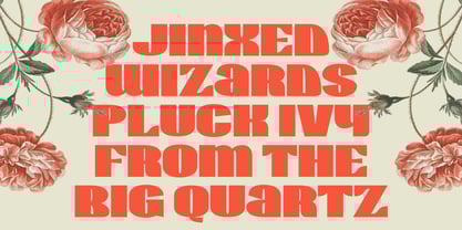 Wirklich Font Poster 4