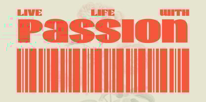 Wirklich Font Poster 7