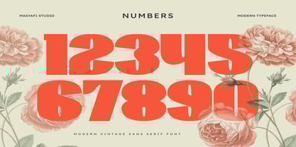 Wirklich Font Poster 6