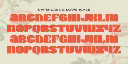 Wirklich Font Poster 2