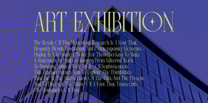 Senowar Display Font Poster 3