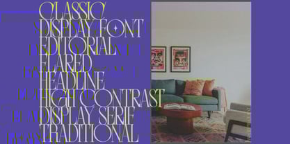 Senowar Display Font Poster 7