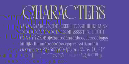 Senowar Display Font Poster 9