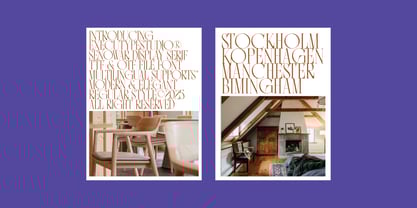 Senowar Display Font Poster 5