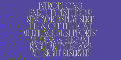 Senowar Display Font Poster 4