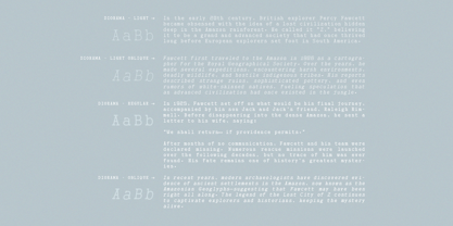 Diorama Font Poster 9