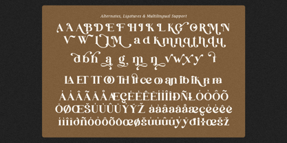 Nancey Wander Font Poster 10