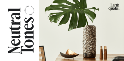 Mailyo Font Poster 7