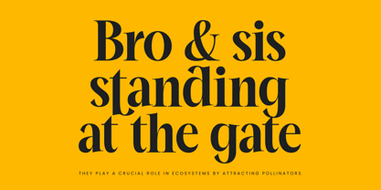 Mailyo Font Poster 2