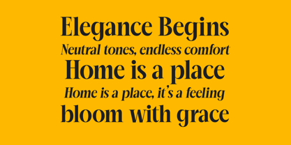 Mailyo Font Poster 12