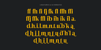 Mailyo Font Poster 14