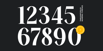 Mailyo Font Poster 9