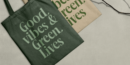 Mailyo Font Poster 8