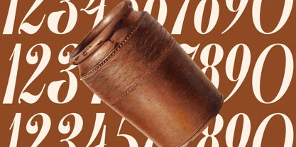 Hedmesa Font Poster 8