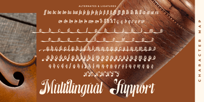 Hedmesa Font Poster 15